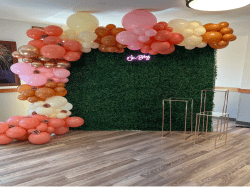 rsw 1209h 907 1744304550 Balloon Arches and Garlands
